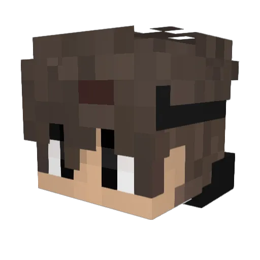 fakefanso Minecraft avatar head, 3D render