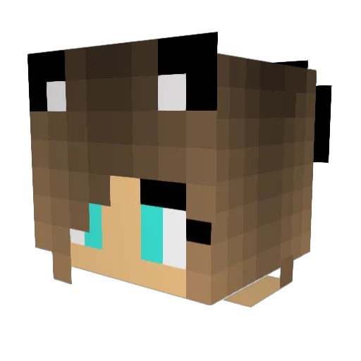 fakehoe Minecraft avatar head, 3D render