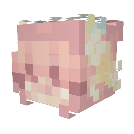 faken1006 Minecraft avatar head, 3D render