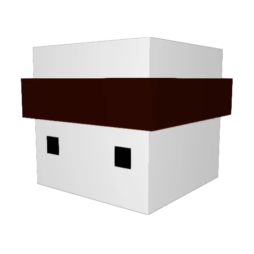 fakeno0bles Minecraft avatar head, 3D render