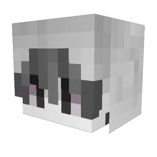 fakething Minecraft avatar head, 3D render