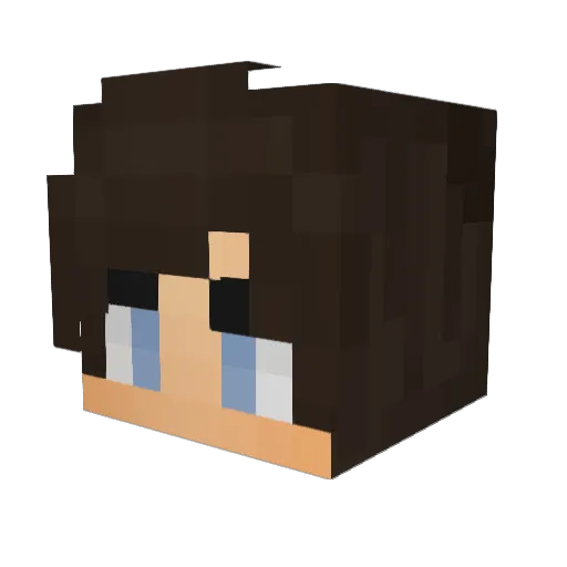 faketyran Minecraft avatar head, 3D render