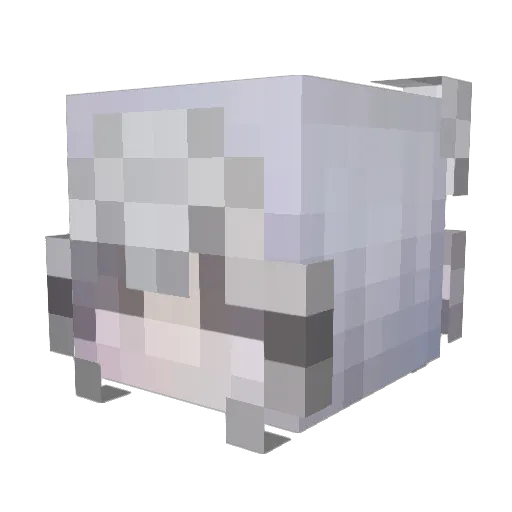 fakeyou1 Minecraft avatar head, 3D render