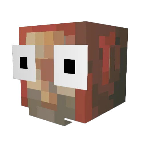 fakka_strijder69 Minecraft avatar head, 3D render