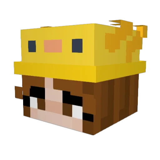 fakulakaka Minecraft avatar head, 3D render