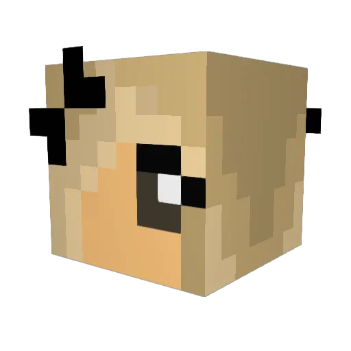 falafeldonkey75 Minecraft avatar head, 3D render