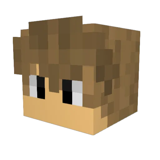 falco84 Minecraft avatar head, 3D render