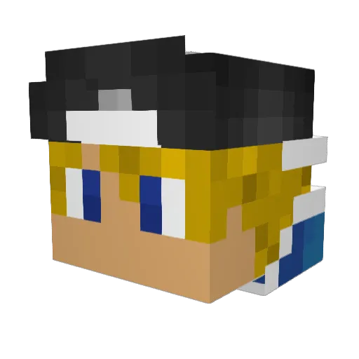 falconXD_ Minecraft avatar head, 3D render