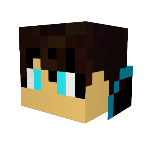 falconraptor Minecraft avatar head, 3D render
