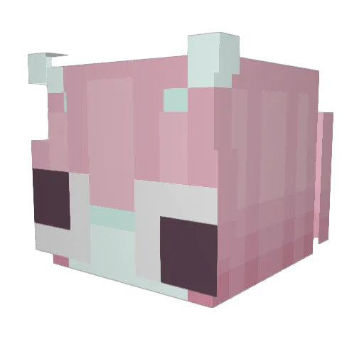 fallcomesearly Minecraft avatar head, 3D render