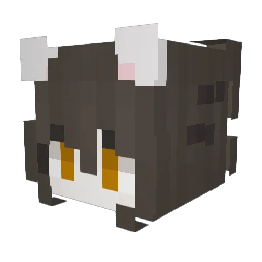 fallenfox224 Minecraft avatar head, 3D render
