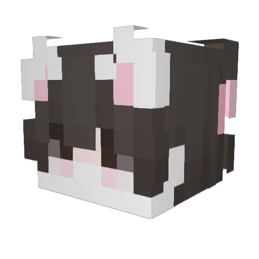 fallenikUwU Minecraft avatar head, 3D render