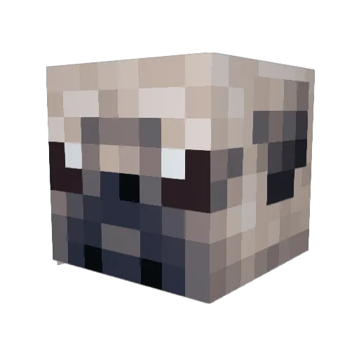 fallensenpai Minecraft avatar head, 3D render