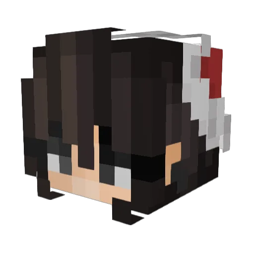 fallenxroses Minecraft avatar head, 3D render