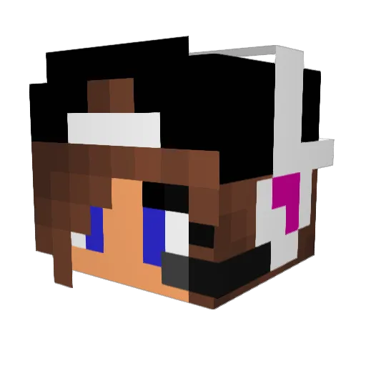 fallina6 Minecraft avatar head, 3D render
