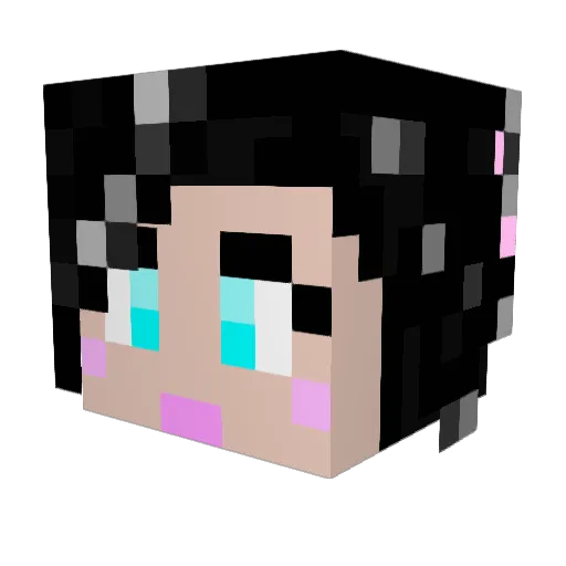 fallingfree Minecraft avatar head, 3D render
