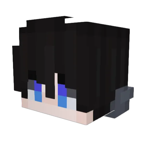 fallingofvoid Minecraft avatar head, 3D render