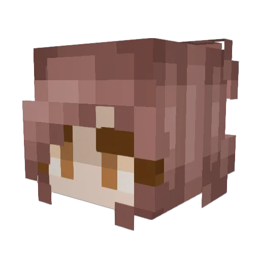 fallingstars22 Minecraft avatar head, 3D render