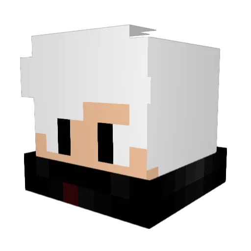 fallola_ Minecraft avatar head, 3D render