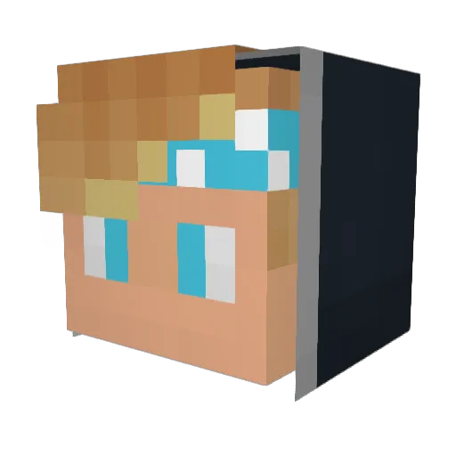 falper Minecraft avatar head, 3D render