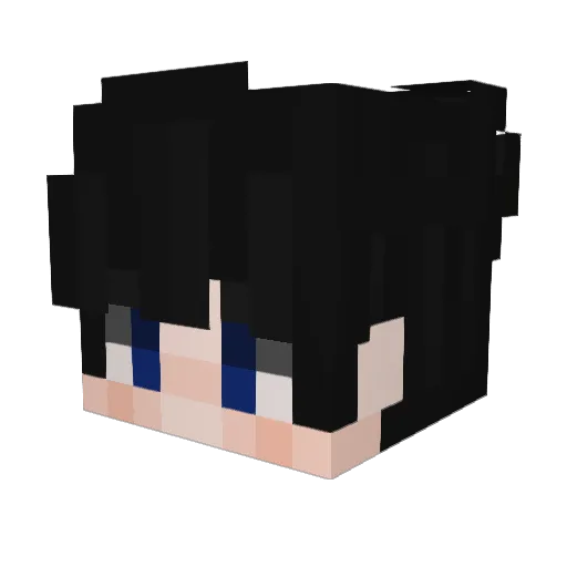 falsapaz Minecraft avatar head, 3D render