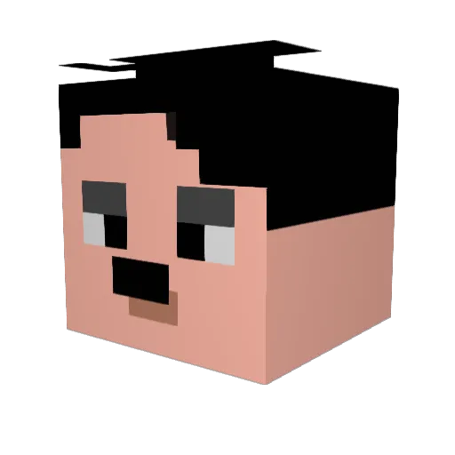 falscherfuffi7 Minecraft avatar head, 3D render