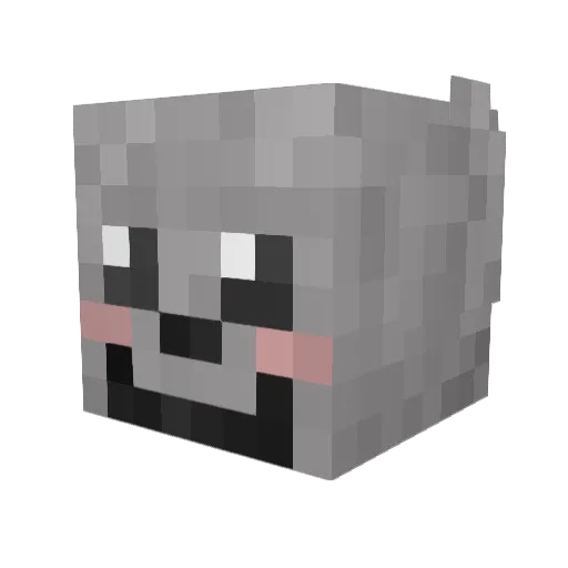 falsfield Minecraft avatar head, 3D render