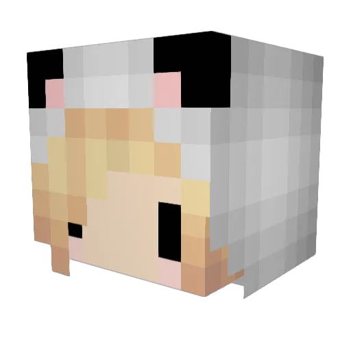 falukner Minecraft avatar head, 3D render