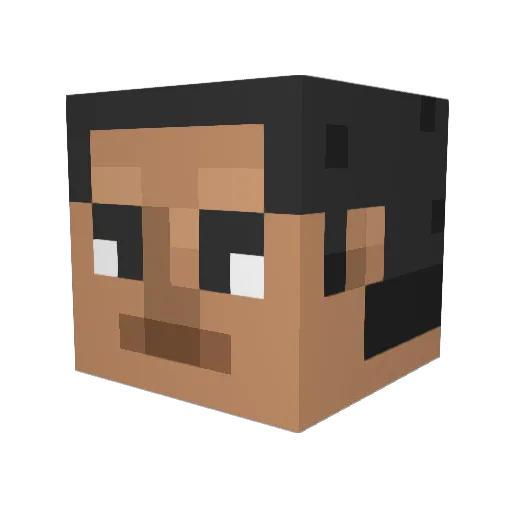 fambamhoe69 Minecraft avatar head, 3D render