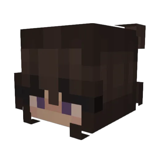 fampenning Minecraft avatar head, 3D render