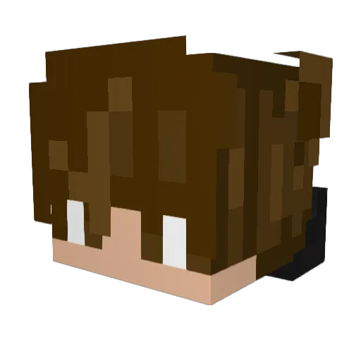 famyfa_ Minecraft avatar head, 3D render