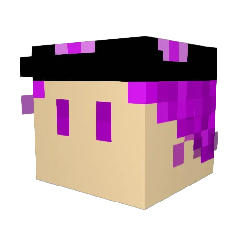 fan0504 Minecraft avatar head, 3D render