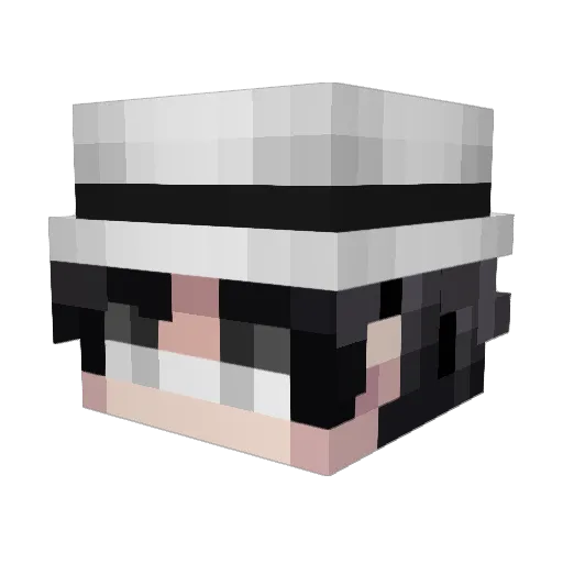 fan_59 Minecraft avatar head, 3D render