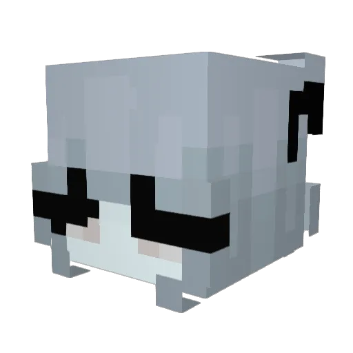 fan_pitera Minecraft avatar head, 3D render