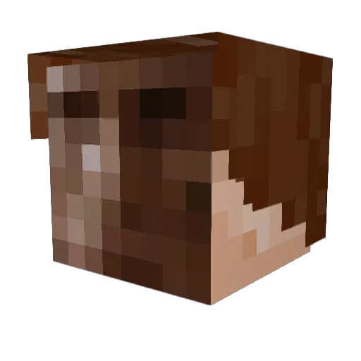 fan_zanabe Minecraft avatar head, 3D render