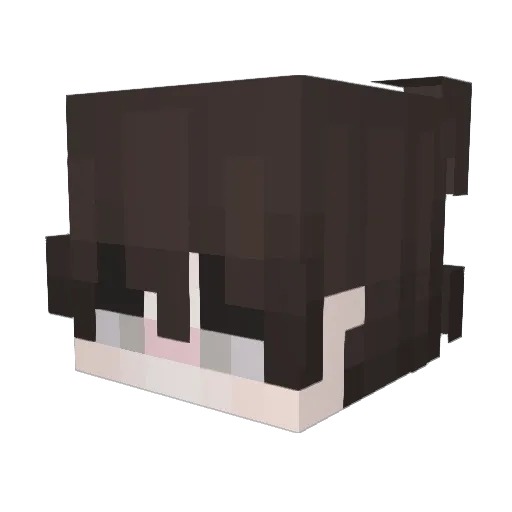 fanaticpixel Minecraft avatar head, 3D render