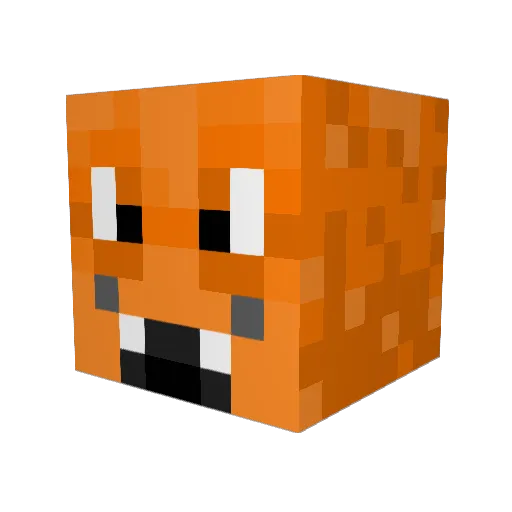 fancehnanceh Minecraft avatar head, 3D render
