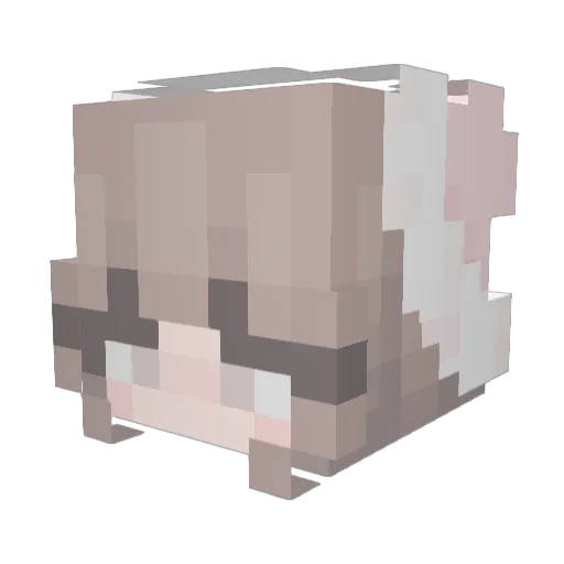 fancie_ Minecraft avatar head, 3D render