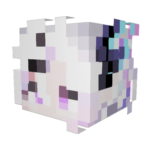 fancy1346 Minecraft avatar head, 3D render