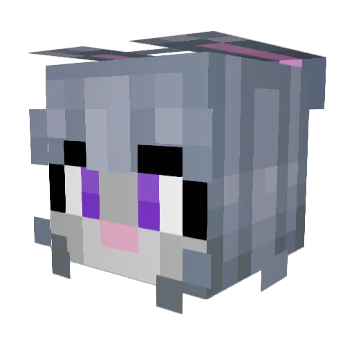 fancybeb Minecraft avatar head, 3D render