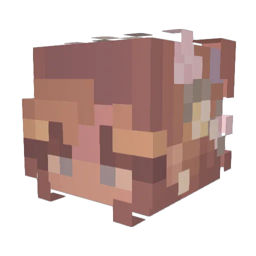 fancybread Minecraft avatar head, 3D render