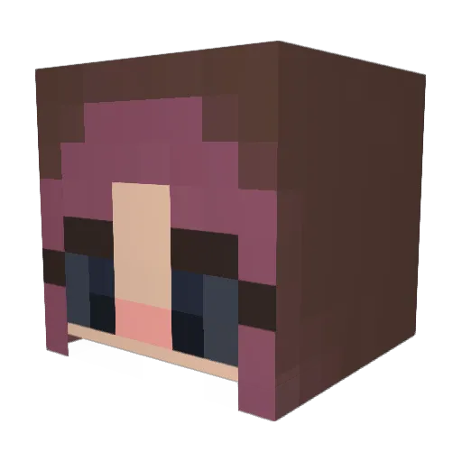 fancypanda29 Minecraft avatar head, 3D render