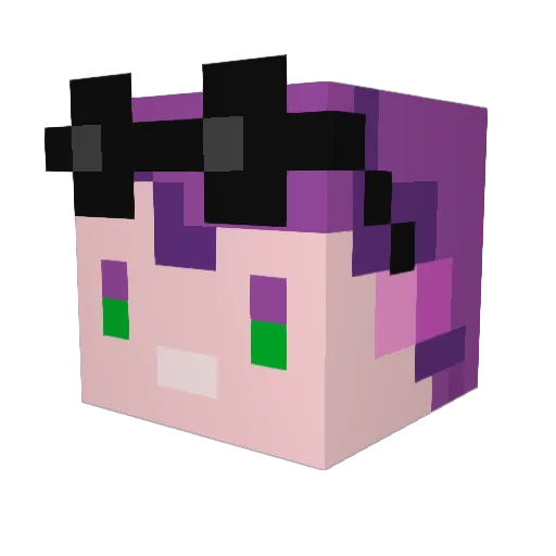fancypaperplate Minecraft avatar head, 3D render