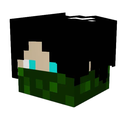 fang3333 Minecraft avatar head, 3D render