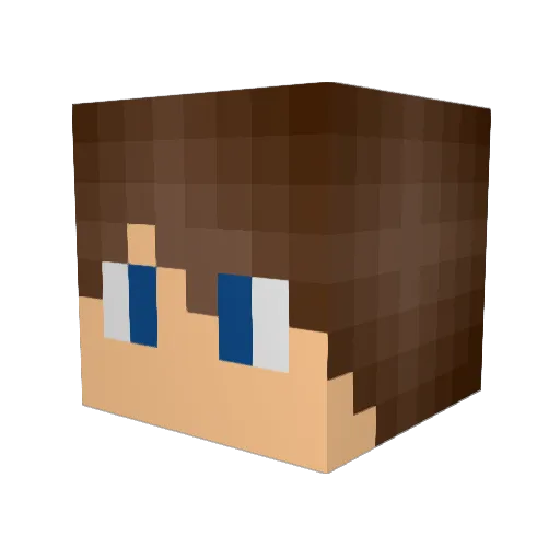 fangamer_YT Minecraft avatar head, 3D render