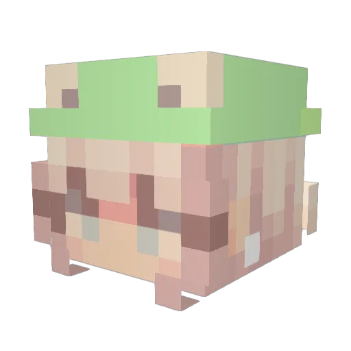 fangurlitis Minecraft avatar head, 3D render