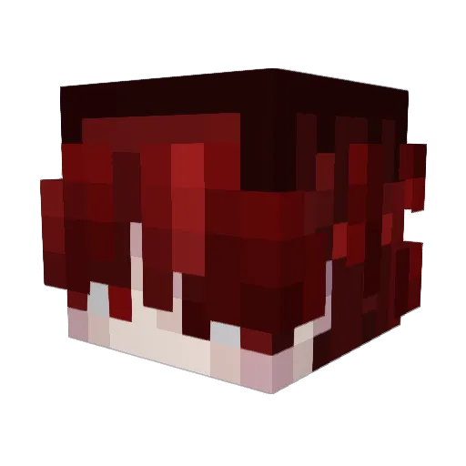 fangyu1 Minecraft avatar head, 3D render