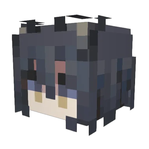 fanker92 Minecraft avatar head, 3D render