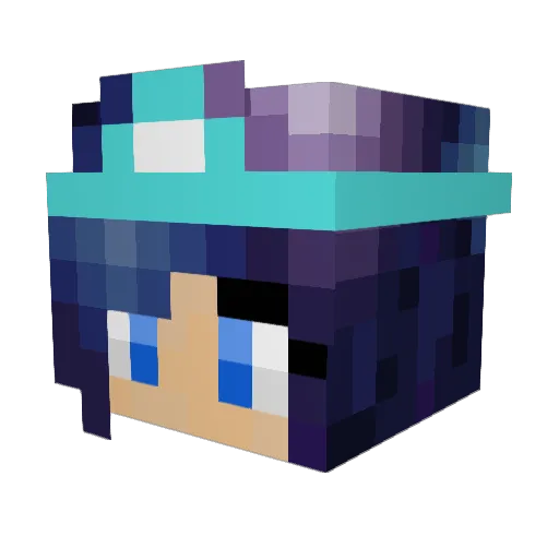 fanlily101 Minecraft avatar head, 3D render