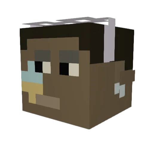 fanny400 Minecraft avatar head, 3D render